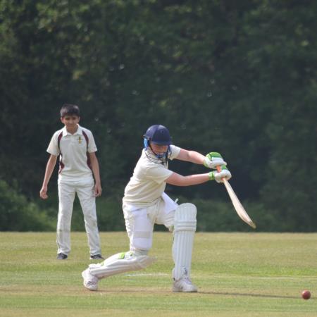Top 50 Cricketing School